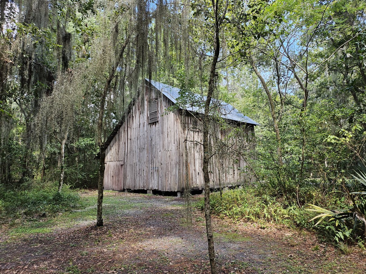 Ian’s Tech 📱💻💾 tweet media