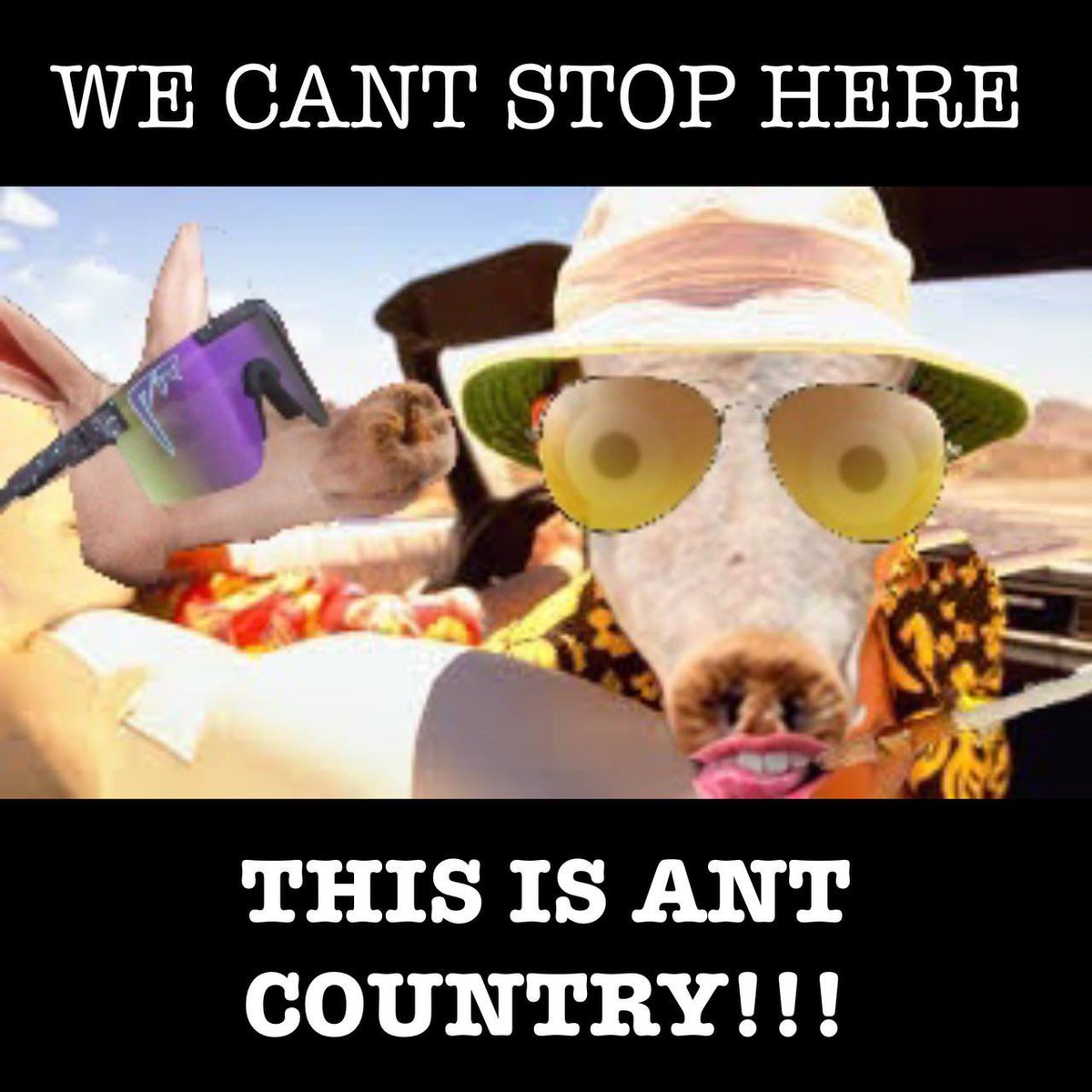 mirektos's tweet photo. @CowboyBebox @1goonrich @AardvarkCoin $ARDVRK https://t.co/SvtK22CMe7