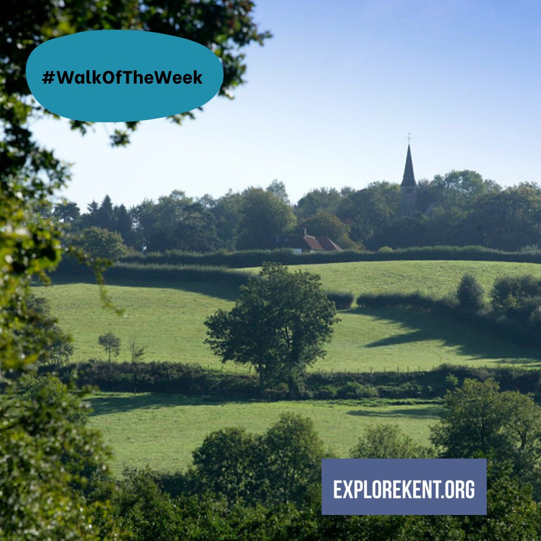 ExploreKent's tweet photo. Where did you walk in Kent this weekend? We'd love to know (and see your πΈ)
Our #WalkOfTheWeek was from Ide Hill and there's still time to click the π and download the map.
https://t.co/fhv3QX2tf5 https://t.co/Oj9Cho6lBQ