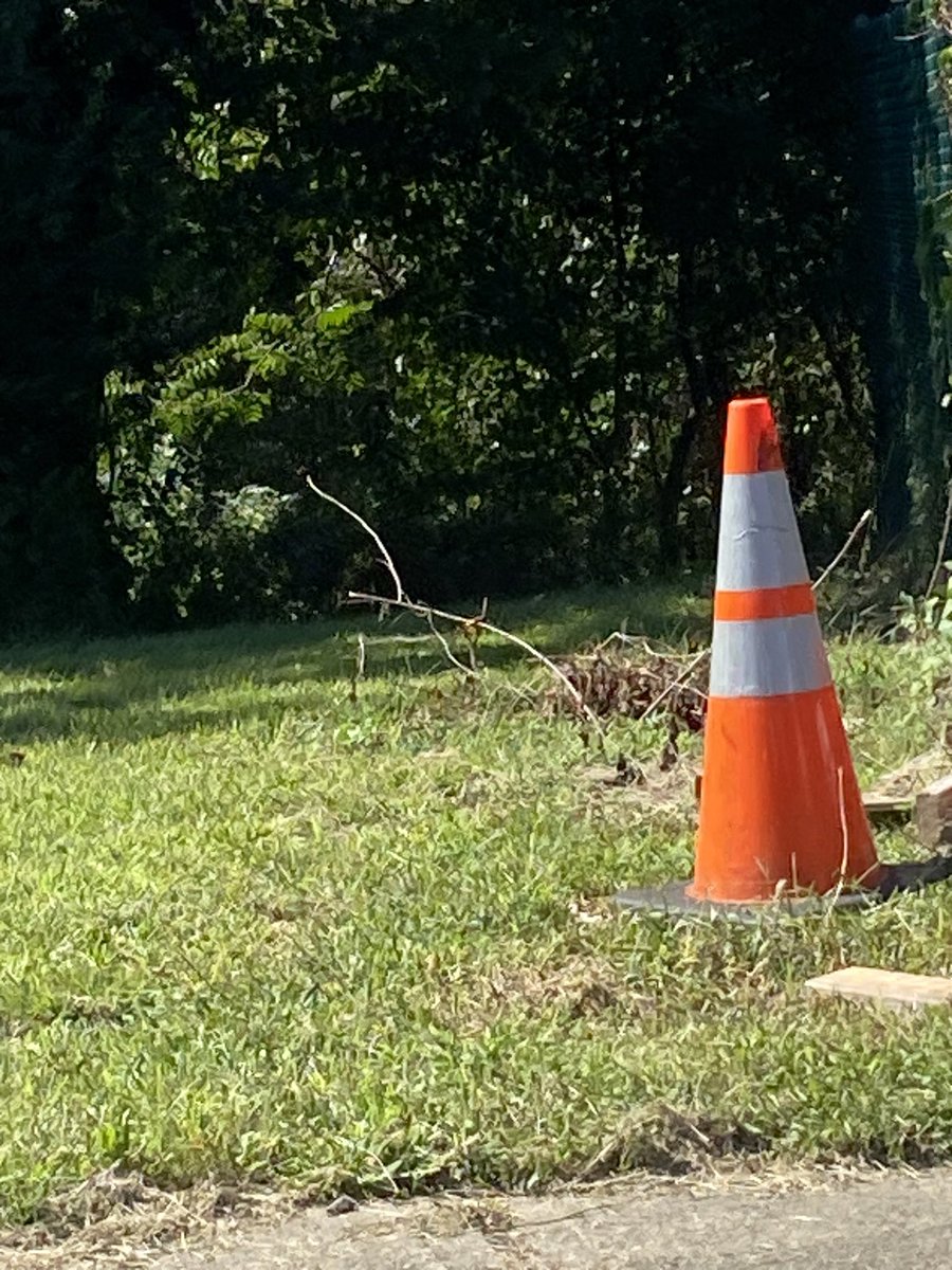 BobbysBong1's tweet photo. #Reddit #Cones #Community #bestsubever Come on over to Reddit and join the greatest community ever r/coneheads $CONE BITCONE @BitCone_CONE https://t.co/KYaC1EPCxf