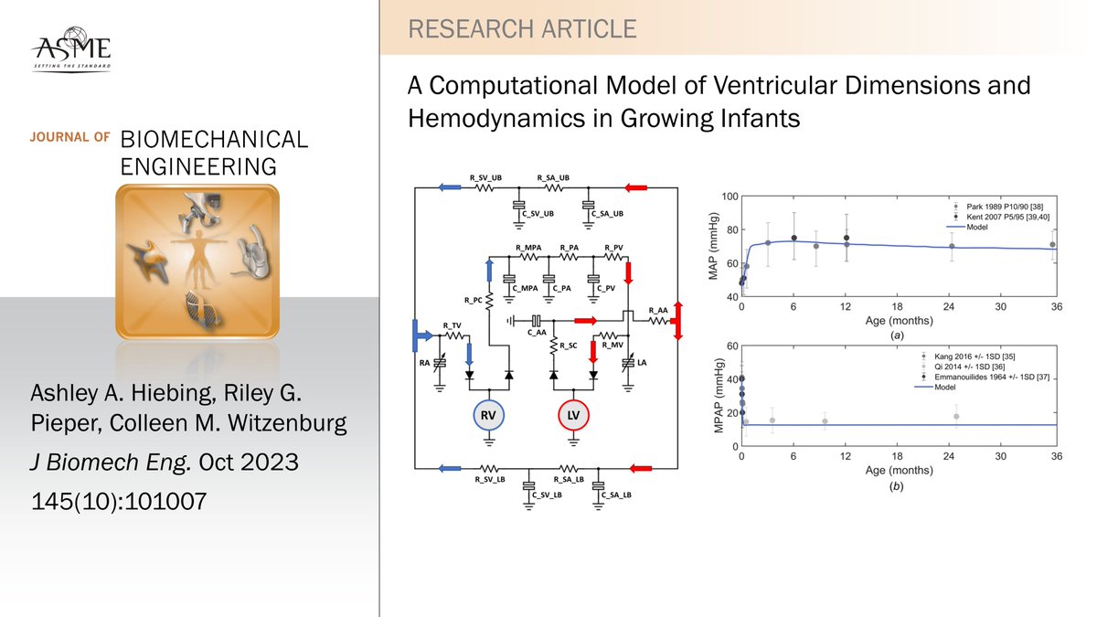#newinJBME The <a href="/CVBiomech_Witz/">Cardiovascular Biomechanics Lab</a> lab at <a href="/UWMadison_BME/">UW-Madison BME</a> developed a computationally efficient hemodynamic model of the cardiac system that captures normal and pathological growth from birth to age 3. Read more about the model and its validation: doi.org/10.1115/1.4062…