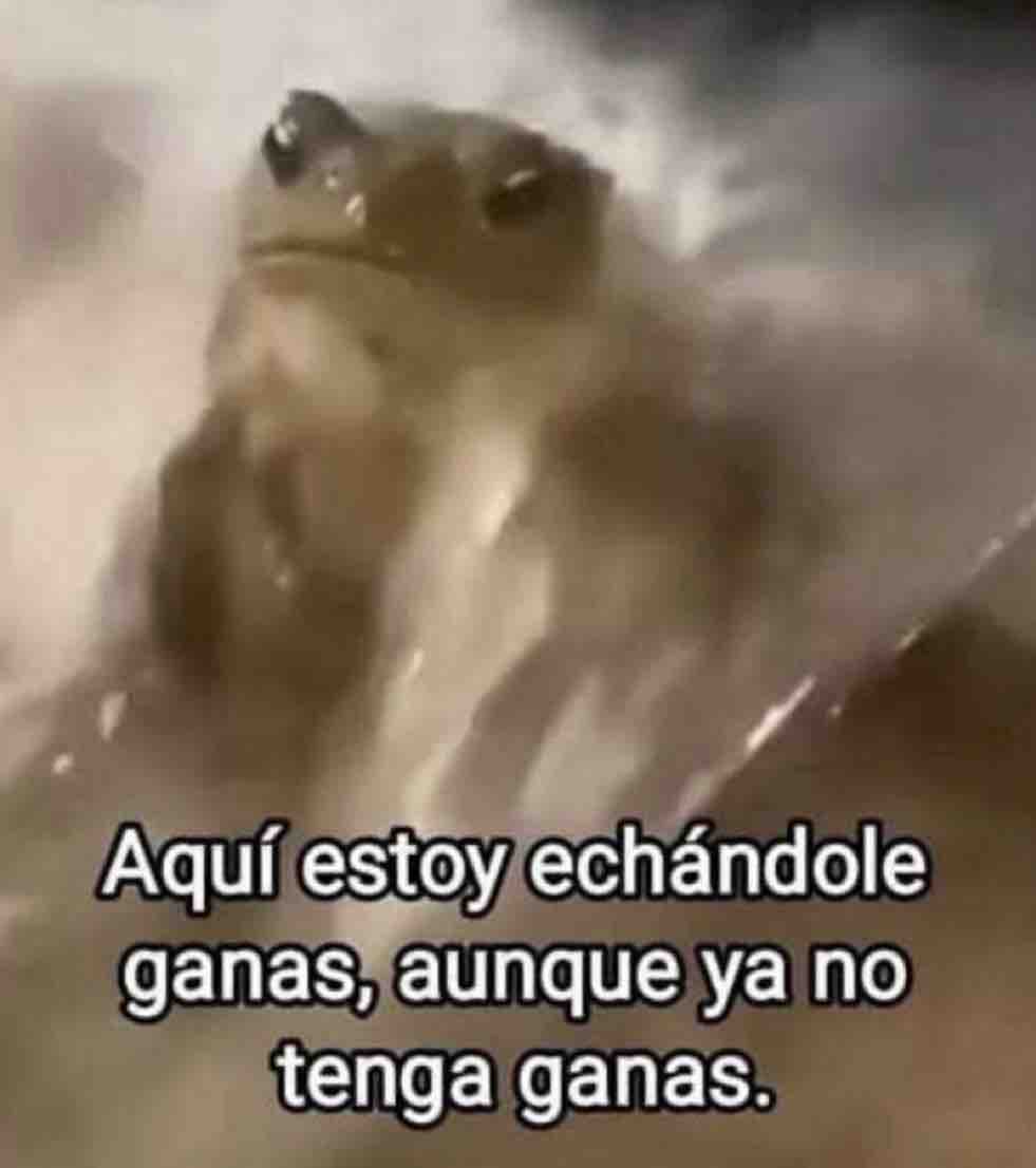 El Guarromántico tweet media
