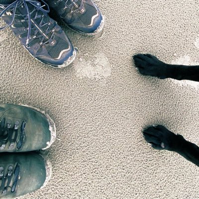 HDW06's tweet photo. #nieuweprofielfoto https://t.co/ec3GRHnmxN