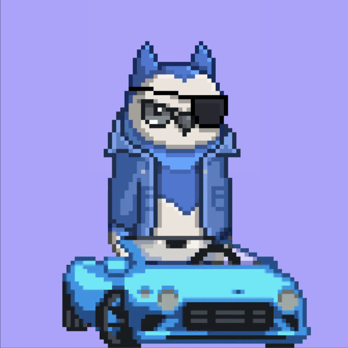 BirdBuilders's tweet photo. Did SuperSpyBird 007 blow his cover and lose his left eye by rolling into NFT Scam Overlord's headquarters with crazy all blue gear and a matching Bentley convertible and doing donuts in their parking lot?
He sure did... and he'd do it again.β¨π«π¦β¨
#mintagrail #beacoolkid #havefun #buildabird
