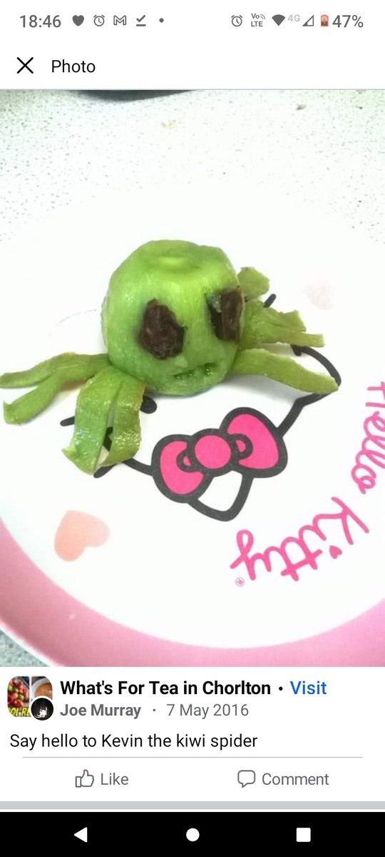 @366DaiChallenge Kiwi spider.