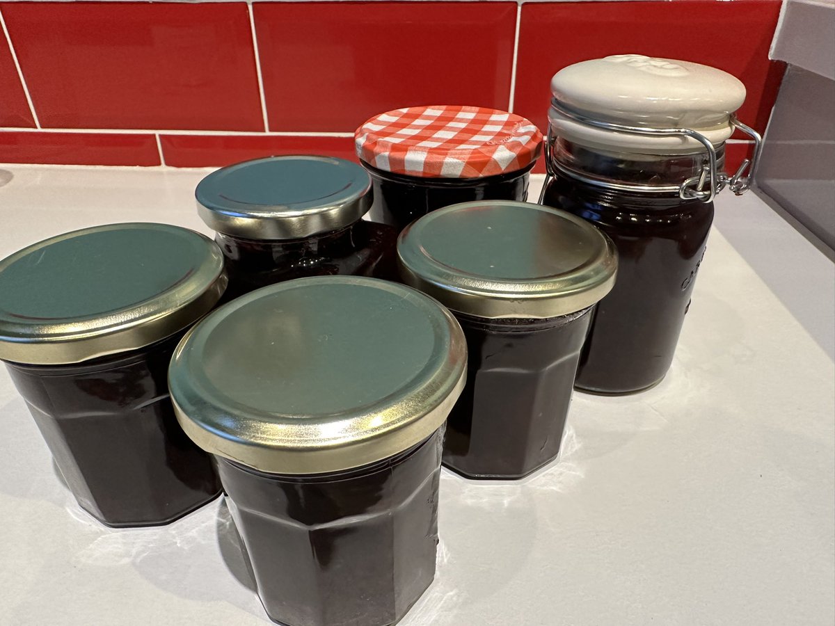 Nothing like making a small batch of plum jam to take the stress out of watching the Wallabies 🇦🇺vs. Fiji 🇫🇯 rugby game (don’t which was more stressful😂)