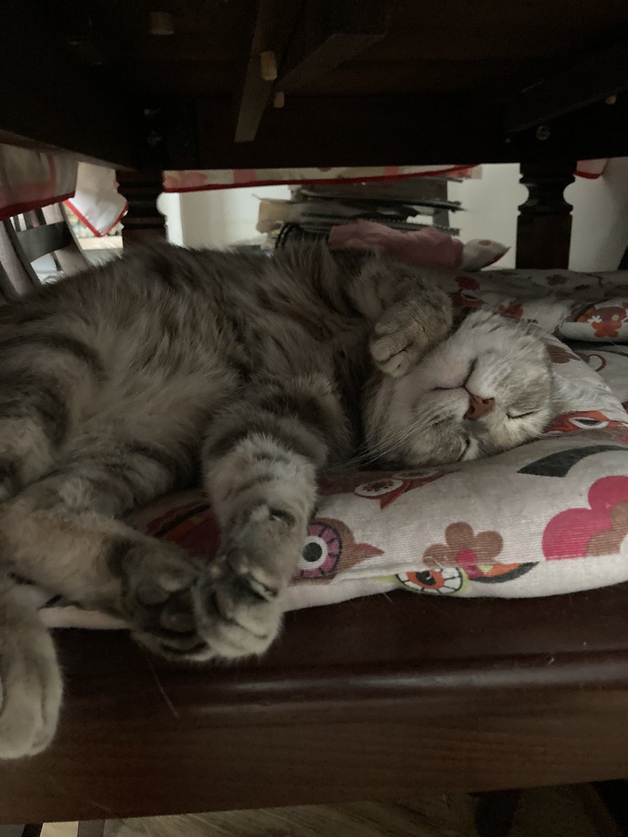 ohcaxxo's tweet photo. @cat_auras wendy❤️❤️ https://t.co/uU8N5QGUOu
