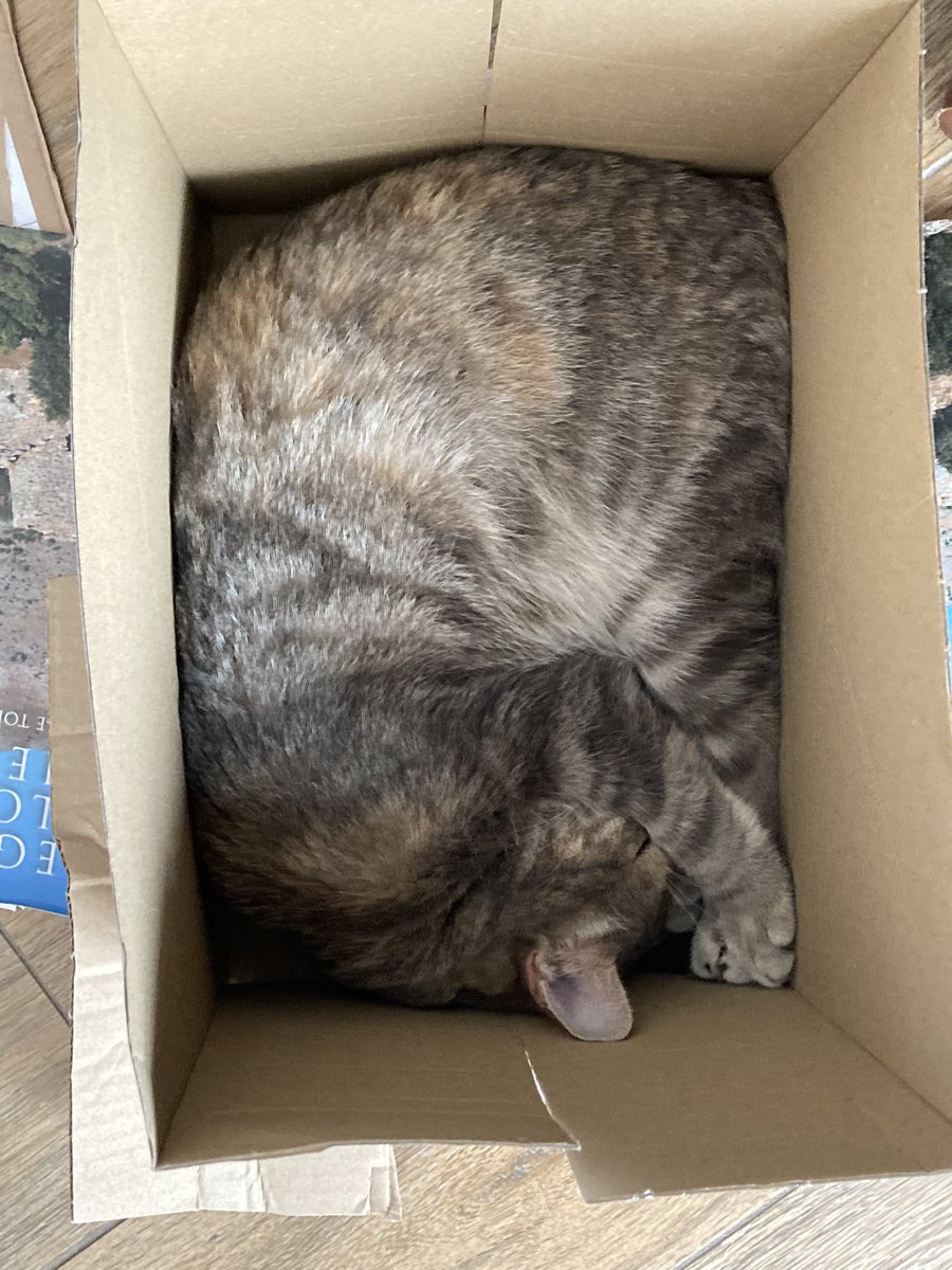 ohcaxxo's tweet photo. @cat_auras wendy❤️❤️ https://t.co/uU8N5QGUOu