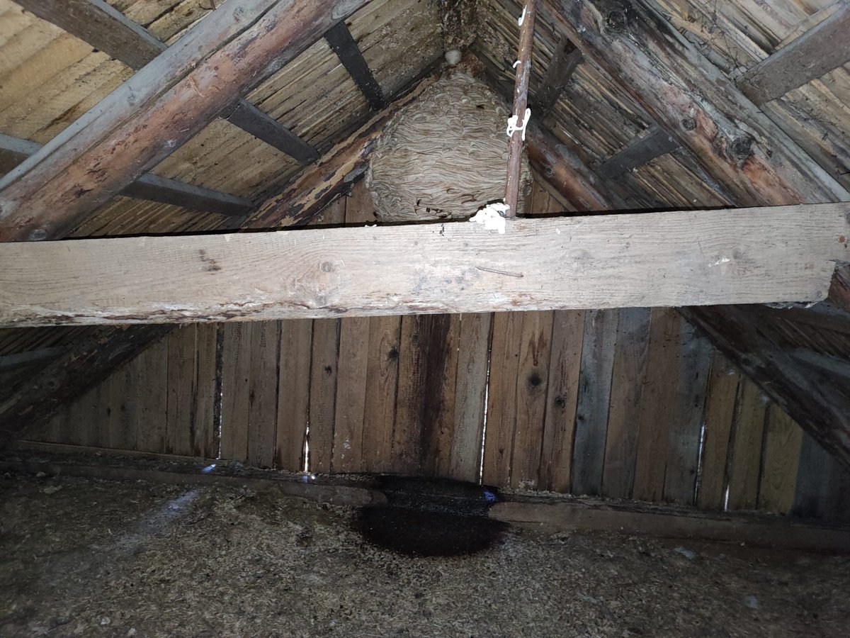 Madars Zvagulis tweet media