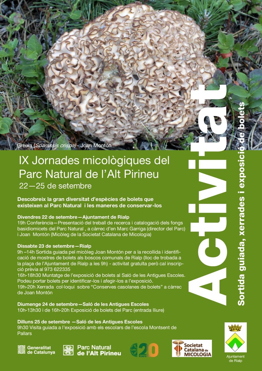 Ben aviat es duran a terme les IX Jornades Micològiques del #PNAltPirineu, enguany a Rialp, on podreu conèixer la gran diversitat de bolets 🍄 del Parc. Junts identificarem i muntarem una exposició amb els bolets que recollim el dissabte el matí i aprendreu a com fer-ne conserves