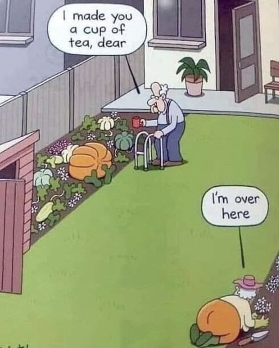 LiLFun_'s tweet image. #meme #funny #LiLFun