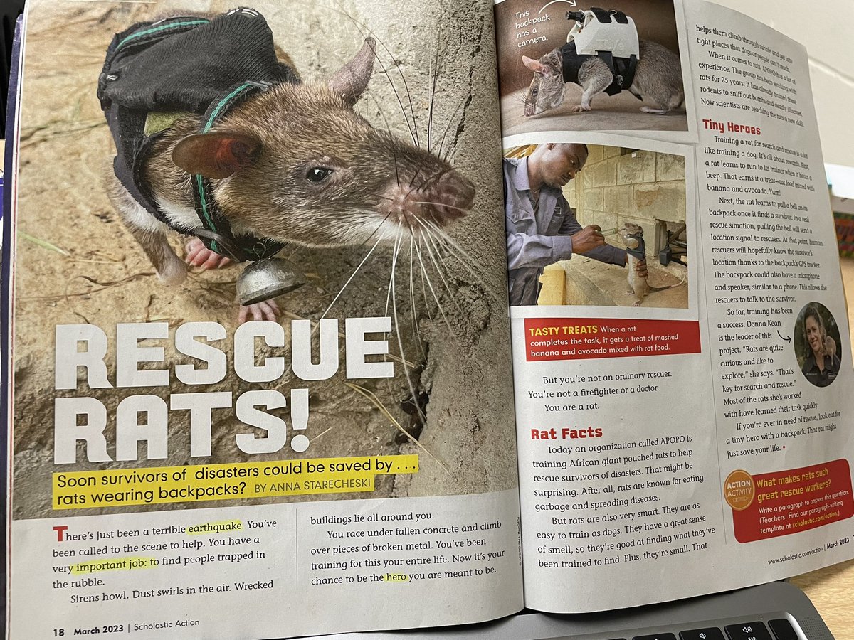 Emily Fɾαɳƈιʂ tweet media