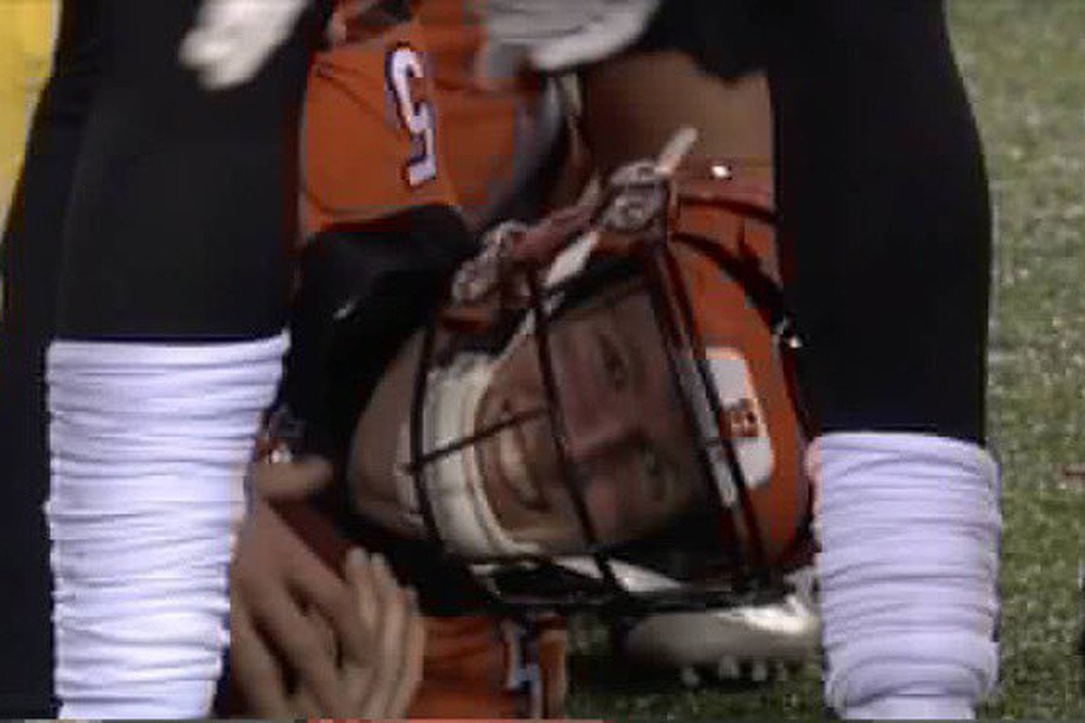 dN Street tweet media