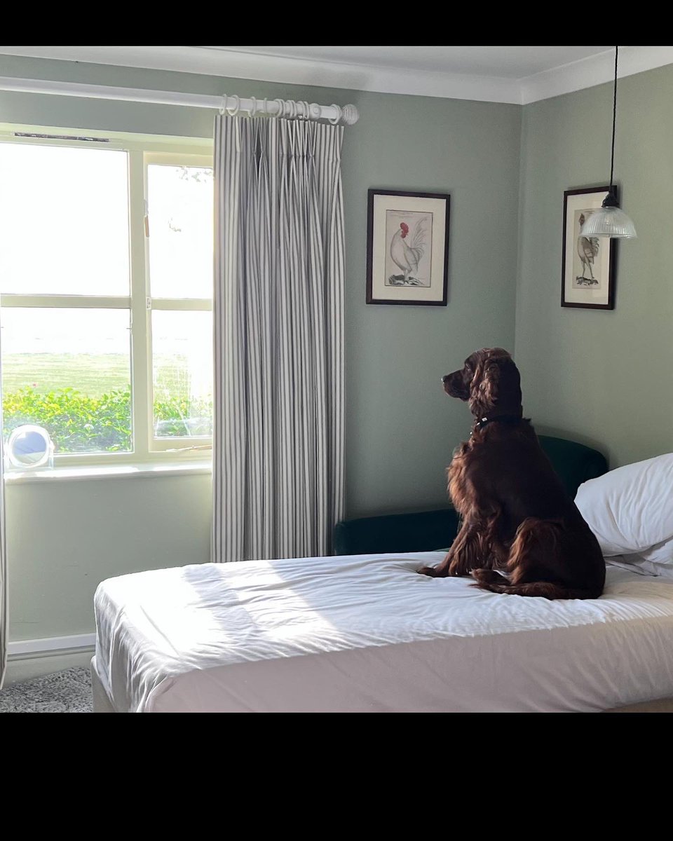 TheSusanGeorge's tweet photo. From writing by the #seaside to @rutlandwater in a day and Martha made many #friends along the way. 🩵 Thank you @thebarnsdale_hotel Vicky, Ben Lorna and Josh for your warm #smiles and super #service in this very special #dogfriendly home away from #home …
☀️✍️☀️ https://t.co/PpO1IjX61k
