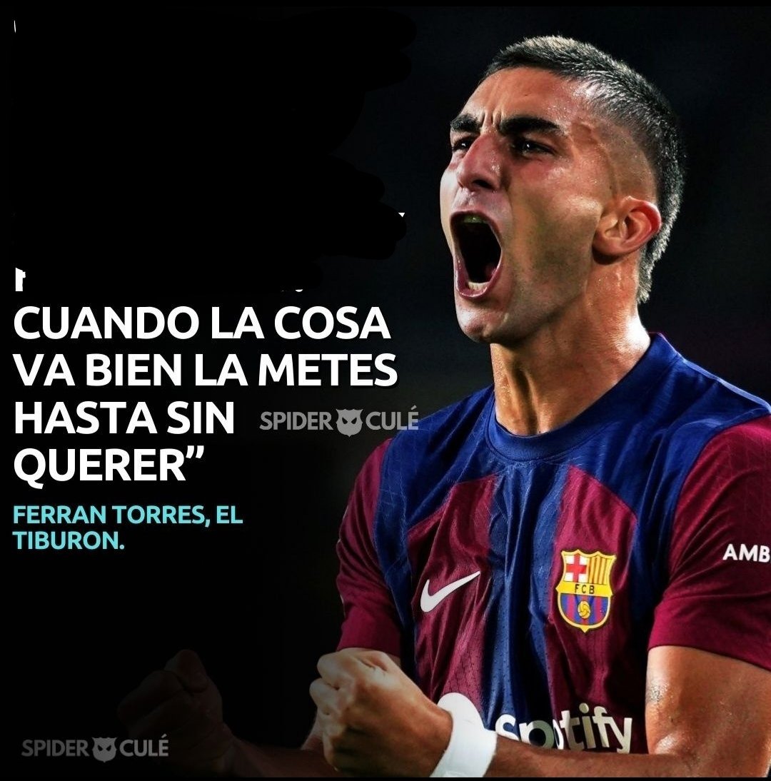 Mentalidad de 🦈🦈>>>