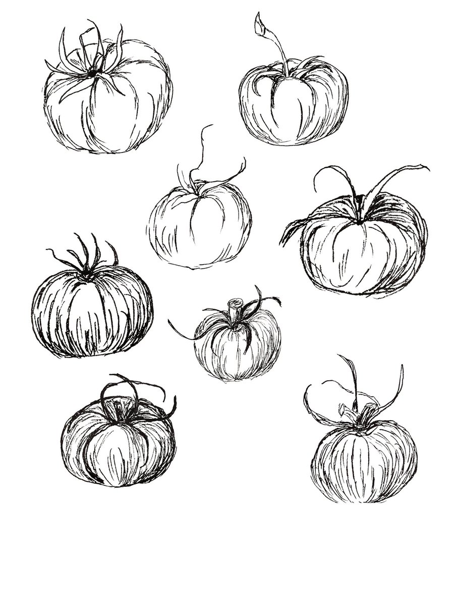 printablemidnightart.etsy.com/listing/148225… is it still tomato season??? Handrawn tomatoes,pencil drawings, #tomatopdf,#gardenimages,#vegetableimages,#tomatodownloads,#tomatodownloads,limited commercial use