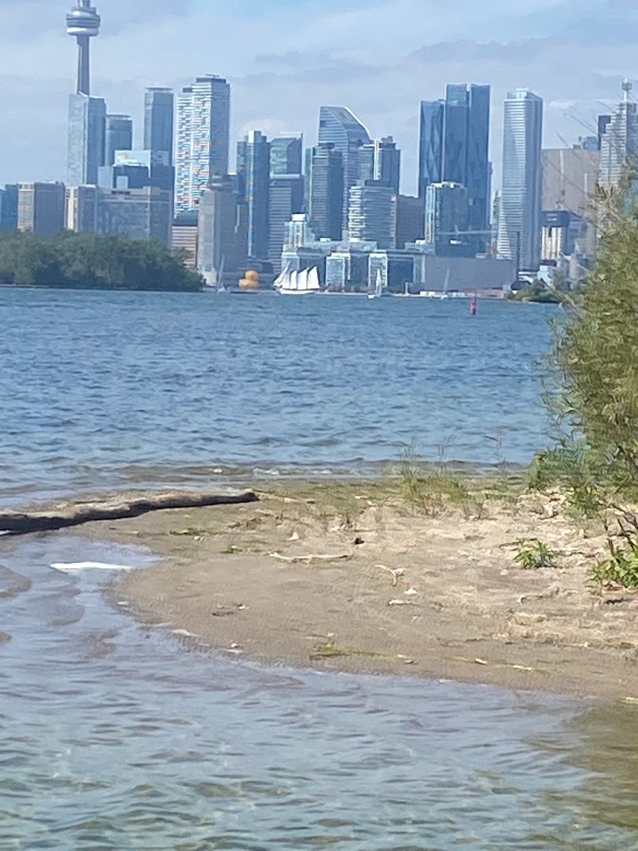 Keri Romanufa tweet media