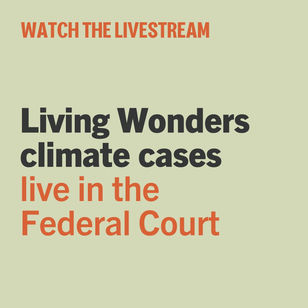 The landmark Living Wonders climate cases start at 10am today before Justice McElwaine in the Federal Court.

Any member of the public is able to watch the hearing.

Get the Microsoft Teams link to watch the Federal Court livestream: livingwonders.org.au/livestream