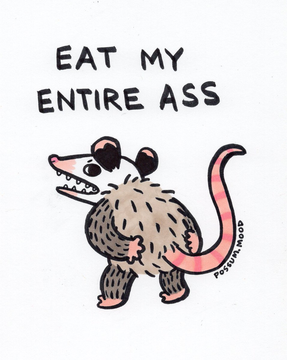 possum_mood's tweet photo. https://t.co/QdUCxGTcX2