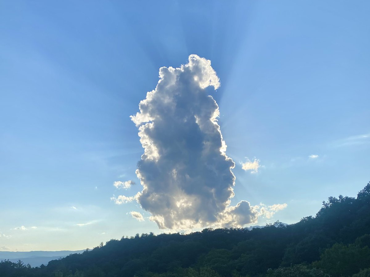 Cloud Reporter tweet media