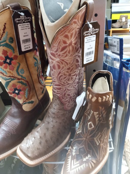 Ostrich too much?!?! In Texas on a work gig... https://t.co/MD1dkVWc8V<a href="/tag/princess"class="tags"><span>#princess</span></a><a href="/tag/fetish"class="tags"><span>#fetish</span></a><a href="/tag/findom"class="tags"><span>#findom</span></a><a href="/tag/footslaves"class="tags"><span>#footslaves</span></a><a href="/tag/higharches"class="tags"><span>#higharches</span></a>