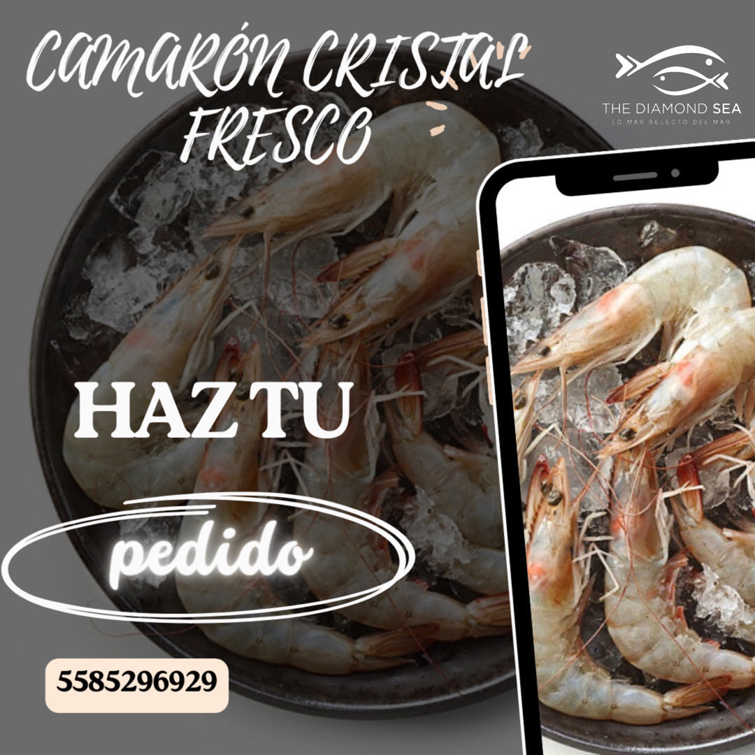 ⁦@PolancoLomas⁩ CAMARÓN CRISTAL FRESCO CON CABEZA 🦐 Entregas a particulares a partir de 1kg 🚛envió sin costo!!! DUDAS Y PEDIDOS 👇🏻 ☎️5556598072 📲WhatsApp 5585296929