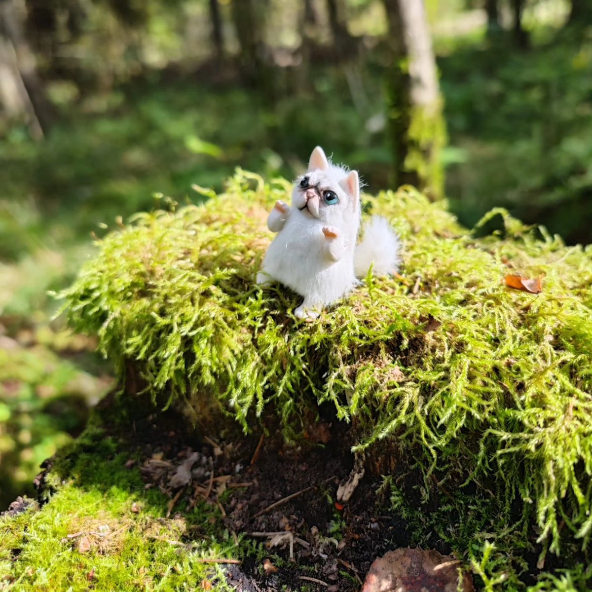 CatKrafi's tweet photo. New little kitty ๐ค๐ฟ
Poseable paws! Can stay or sit ๐
Ready for adoption!
$35 + shipping $15 usd
-
-
-
#artdoll #polymerclay #catdoll #tinydoll #tinycat https://t.co/lcoC47KHGA