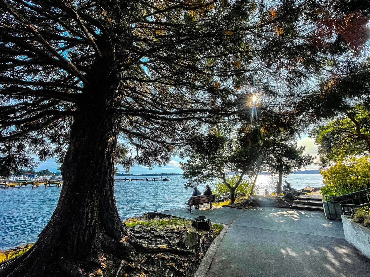 #MarinaPark #Kirkland #Seattle #LakeWashington #Breathtaking #Amazing #komoloz #Colorful #Sun #Sunny #Peaceful #ProtectingMyPeace #Clouds #Cloud #Cloudy