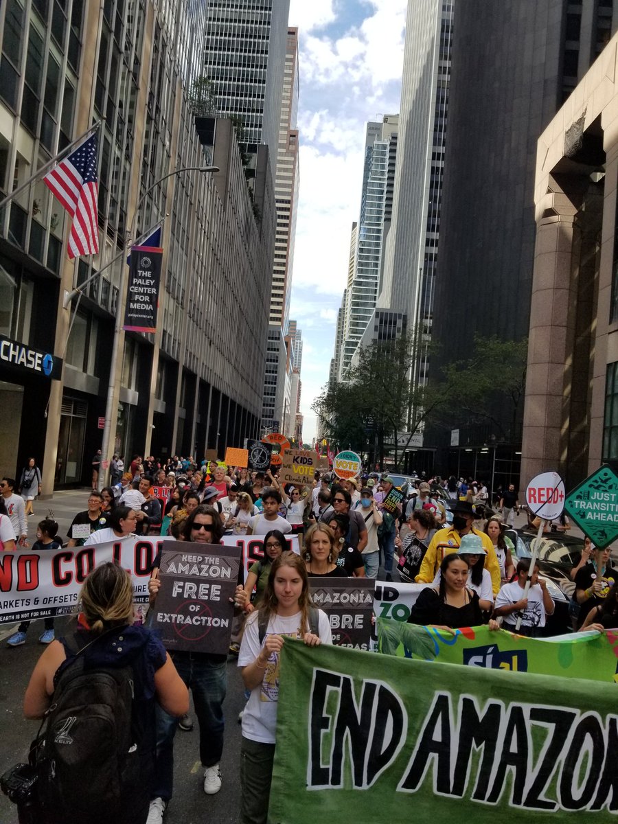 billmckibben's tweet image. I would say New York definitively showed up to fight fossil fuel. What a day!