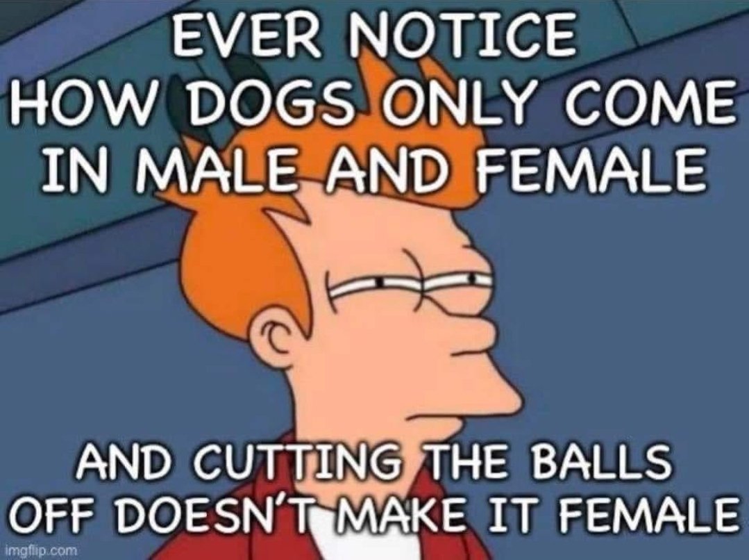 FrogstarWorld's tweet image. 