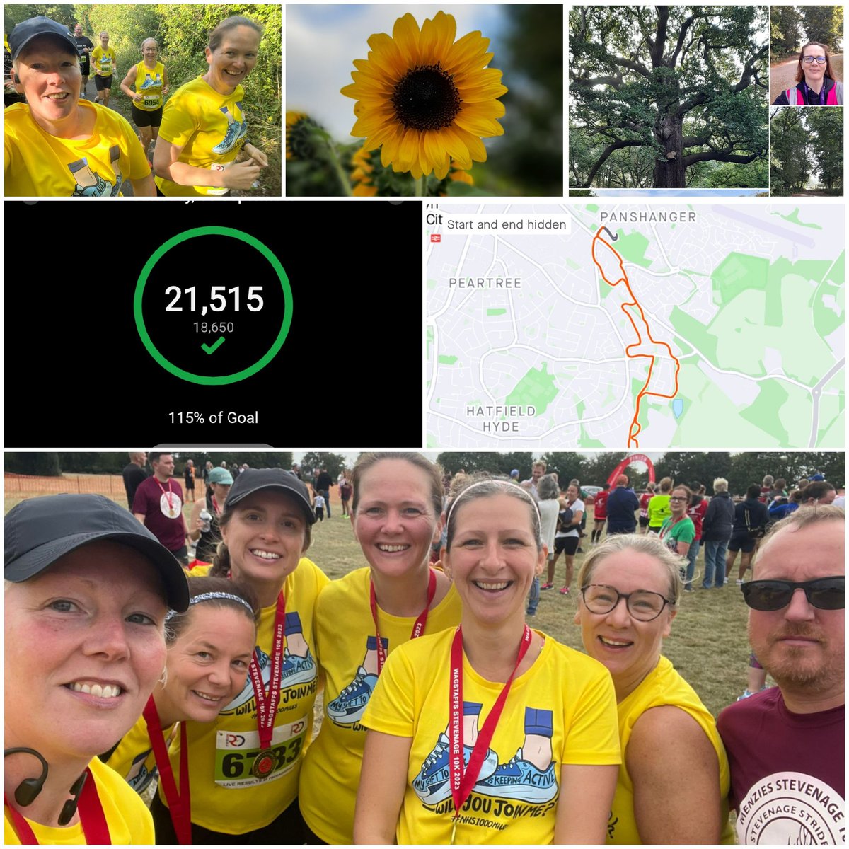 Alison Paterson 💙 tweet media