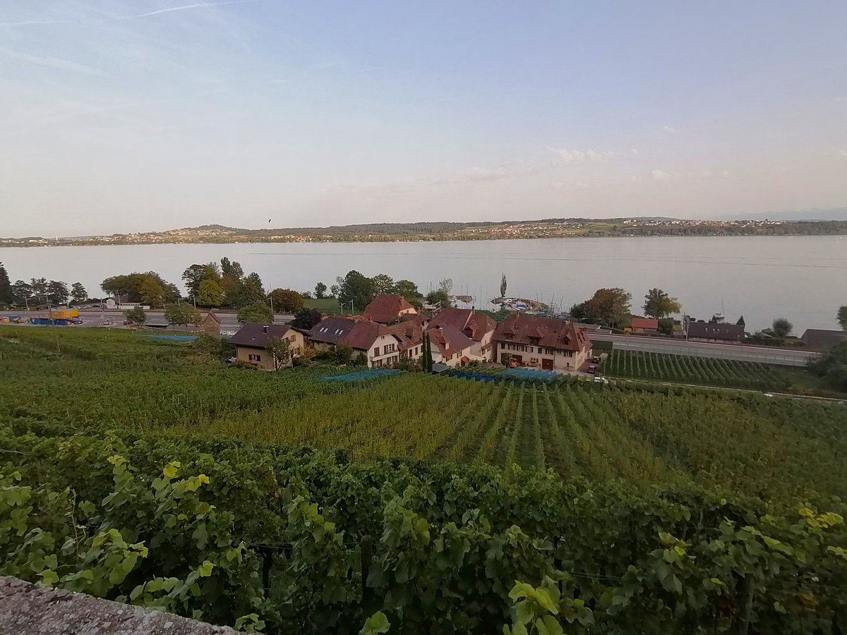 bsakany's tweet photo. #Bielersee #Wingreis #Twannbachschlucht #Restauranttanne👍#Gaicht https://t.co/IN8WWnLdJt