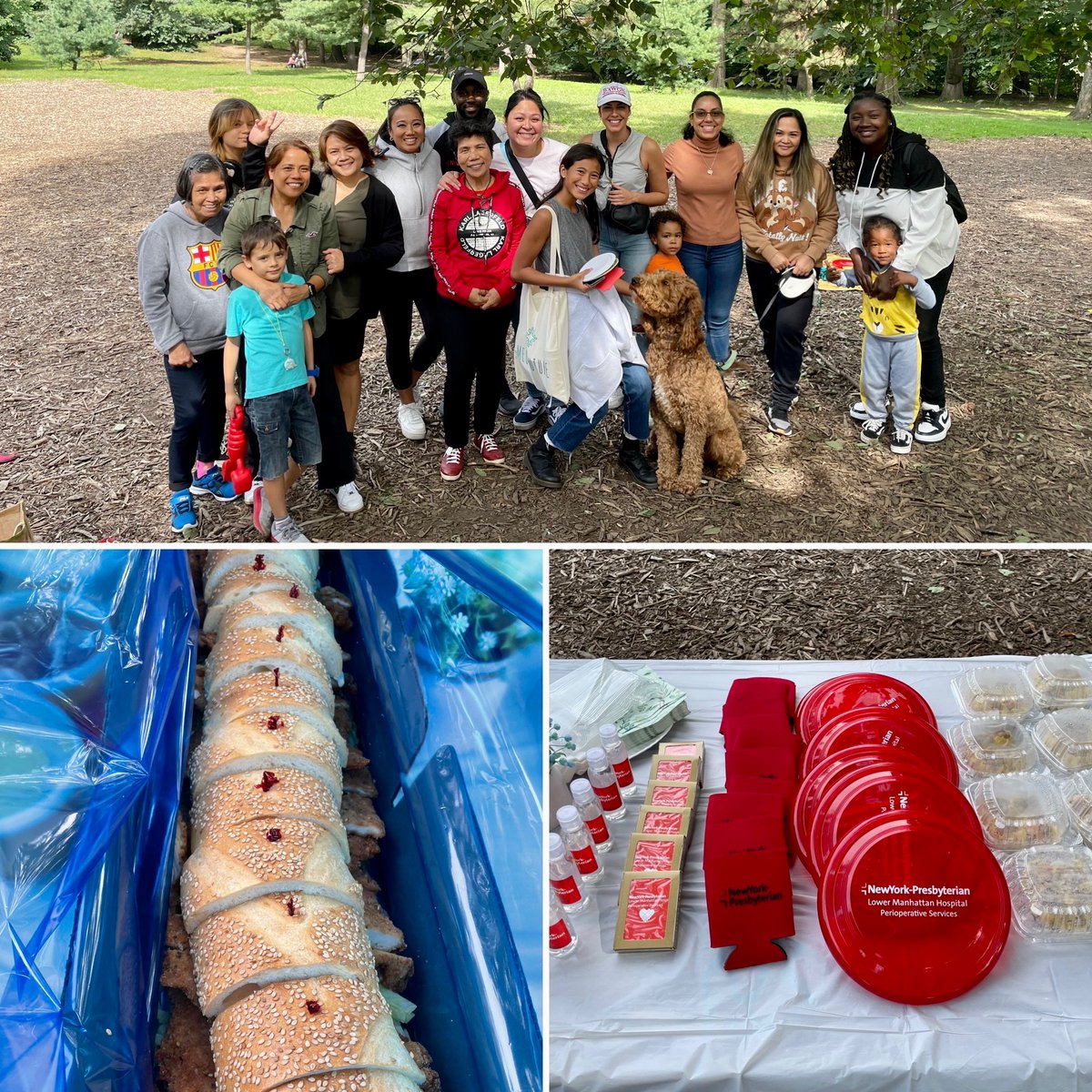 We had a great day at Central Park having a LMH Periop Picnic! Spending time with each others families and pups makes our Periop family even stronger. ♥️