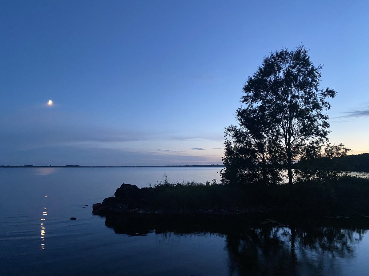 RobandhisiPhone's tweet photo. Taken on 5th August 2022 at Crover House Hotel &amp; Golf Club, Lough Sheelin, County Cavan, Ireland.

#RobandhisiPhone #iPhone11 #AppleiPhone11 #iPhone #AppleiPhone #photography #amateurphotograhy #CroverHouse #CroverHouseHotel #LoughSheelin #CountyCavan #Ireland @CroverHouse https://t.co/RGGvPJA3JC