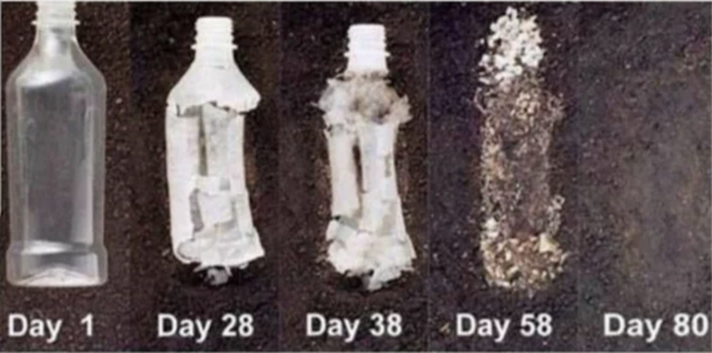 Hemp bottles will degrade after around 80 days. Cannabis plastics are also non-toxic.