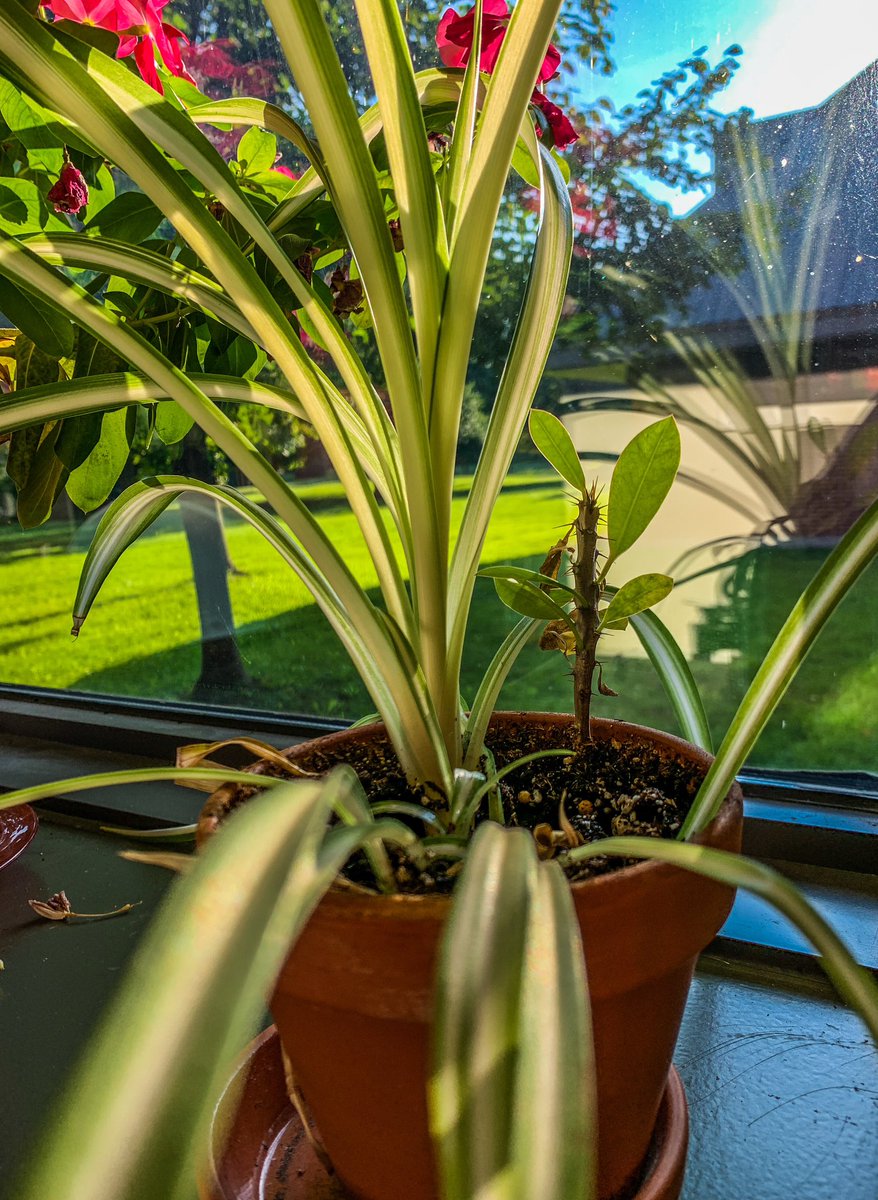 Deservedly So tweet media