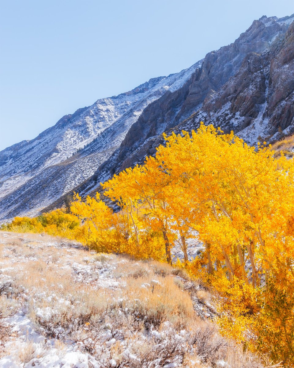 Fall in the Eastern Sierra