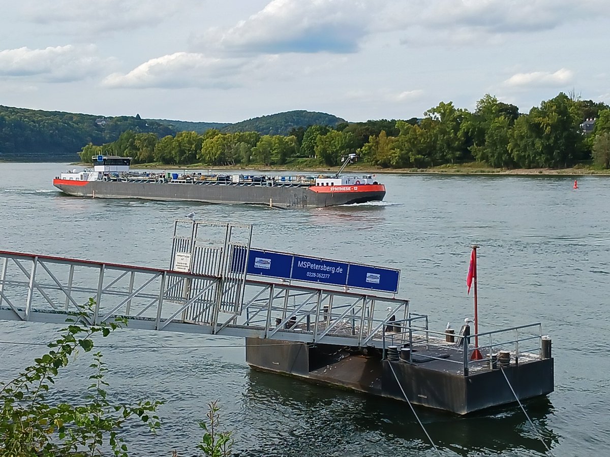 Rheinpegel's tweet image. Hallo #Synthese 12 #Schiff #rhein #Remagen