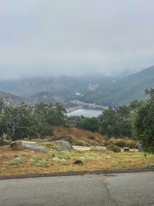 amazing morning with a blunt and a coffee in the hills in California. The only thing that&rsquo;s better then