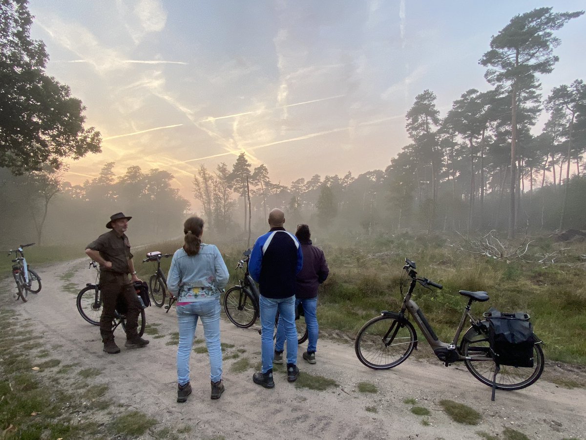andredonker's tweet photo. Prachtige avond met onze gasten en genoten van een zeer fraaie #herten #bronst #burlen https://t.co/gJqSv4Semv