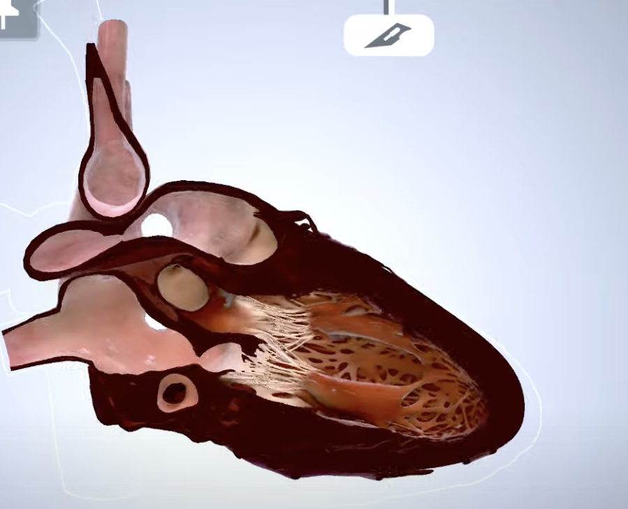 EchoSimGroup tweet media