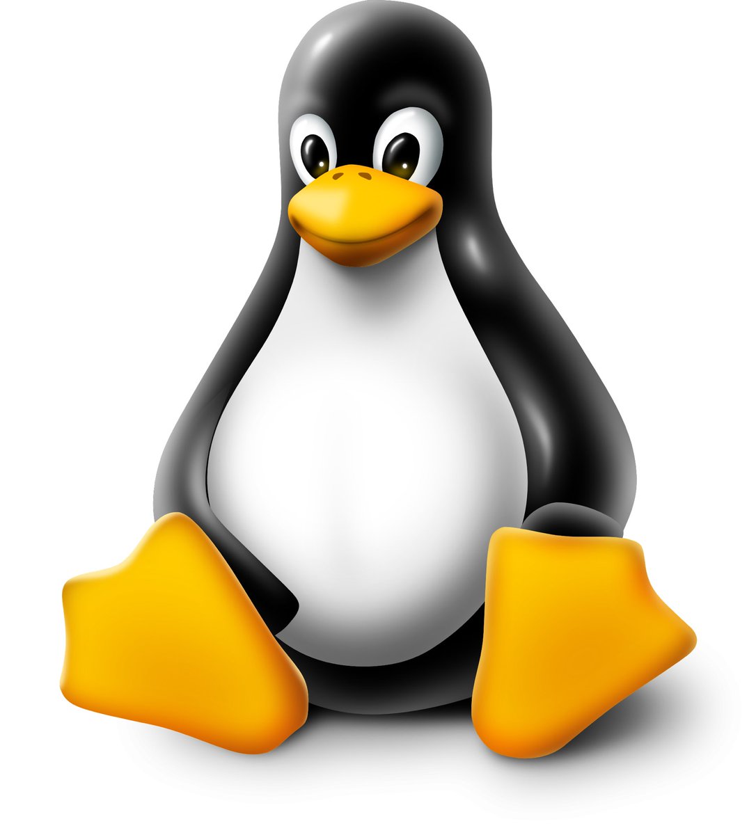 LinuxSeb's tweet image. Happy 32nd Birthday to the Linux Kernel! 🐧