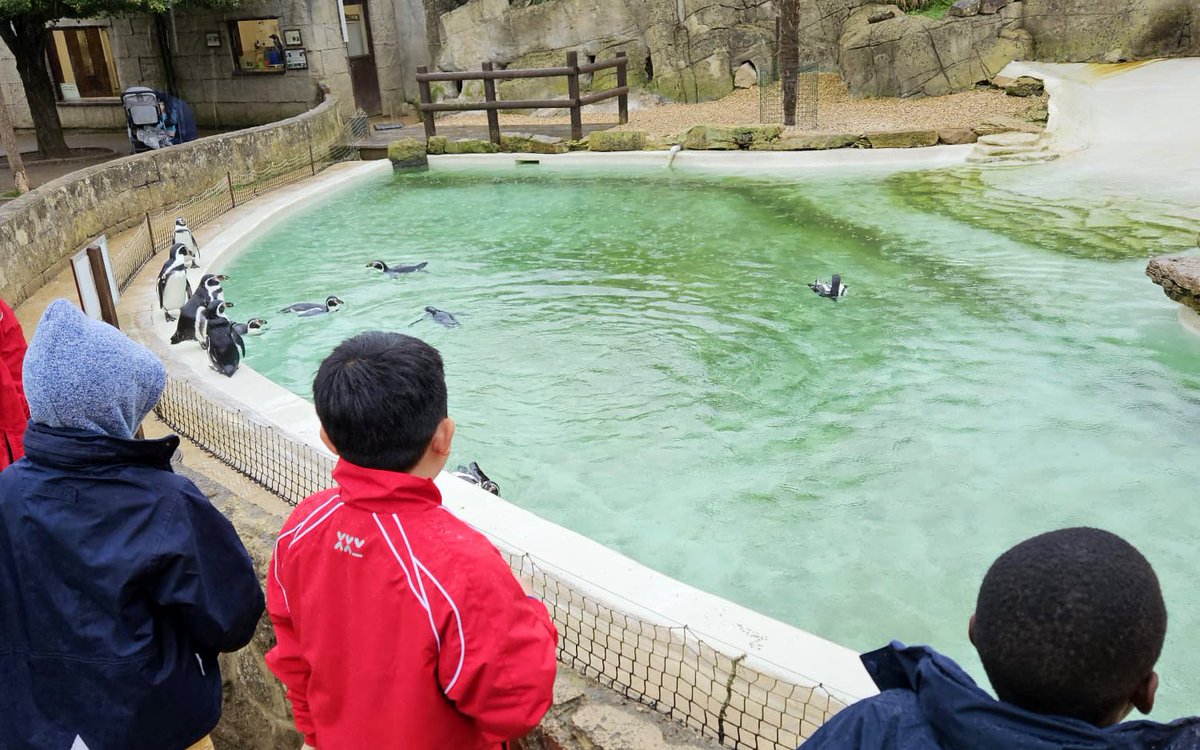 SFSOxford's tweet image. The rain didn’t stop the boys having lots of fun at Cotswold Wildlife Park this afternoon. #iloveboarding #boardingweekend #sundayfunday