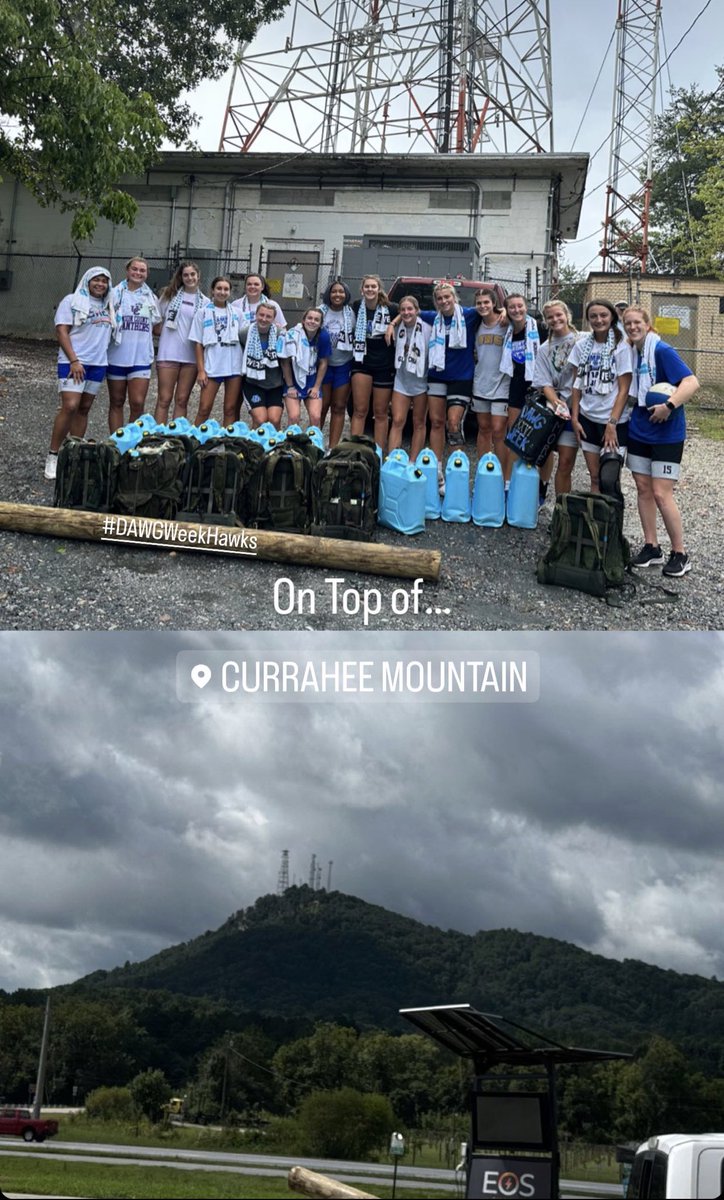 UNG Women's Hoops tweet media