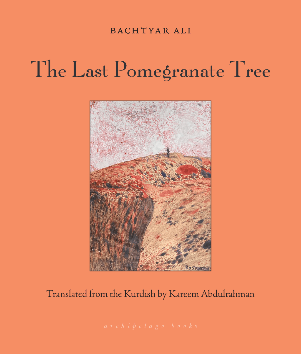 I'm delighted that I'll be on a tour of Toronto and the US to promote my translation, The Last Pomegranate Tree  by Bachtyar Ali. Most of the events would be a duet;) and the last two on this list are solo events for me only. Looking forward to seeing some of you in person!
