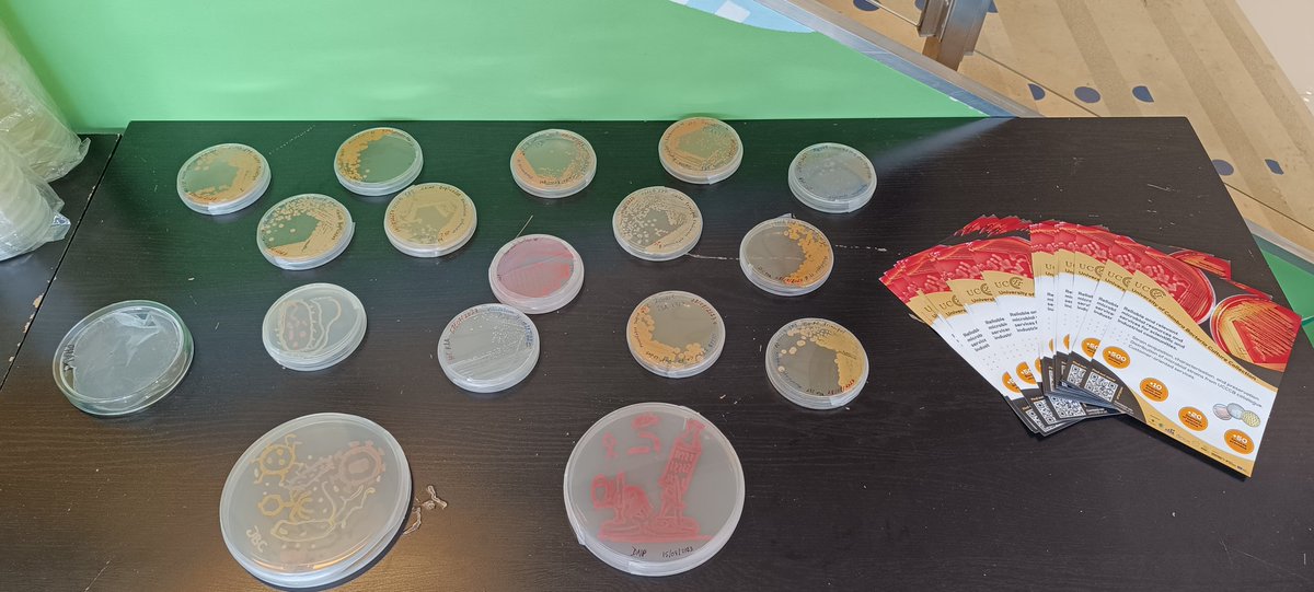 ProencaNeves's tweet photo. A great day in Coimbra to celebrate the International Microorganism Day!

#InternationalMicroorganismDay https://t.co/AcVU9IyY1s