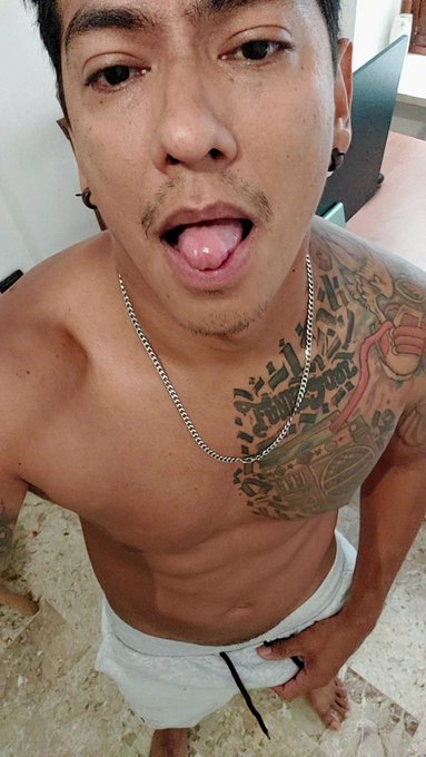 latino_flava