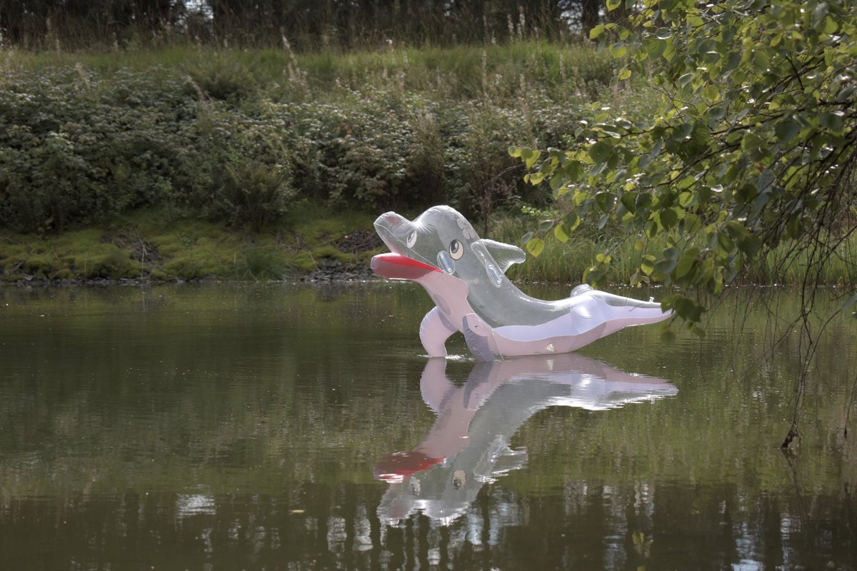 And the changes are online :3 
You could now order a clear (like in the picture) or a pink transparent one. :3

Orders are open till 100 dolphins are ordered! :3

docs.google.com/forms/d/e/1FAI…

#inflatable #squeaky