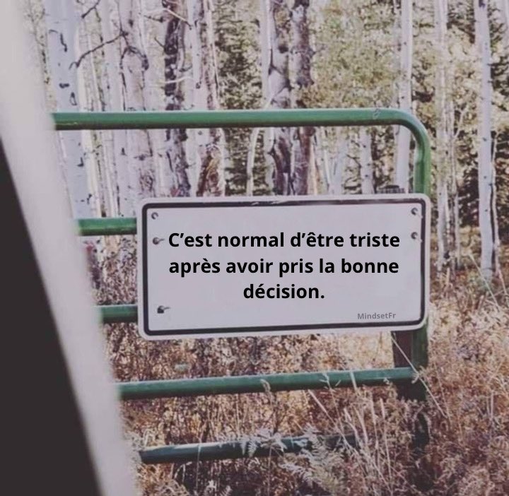 Mindset_FR's tweet photo. D’accord ? https://t.co/RFKbVtt2w4