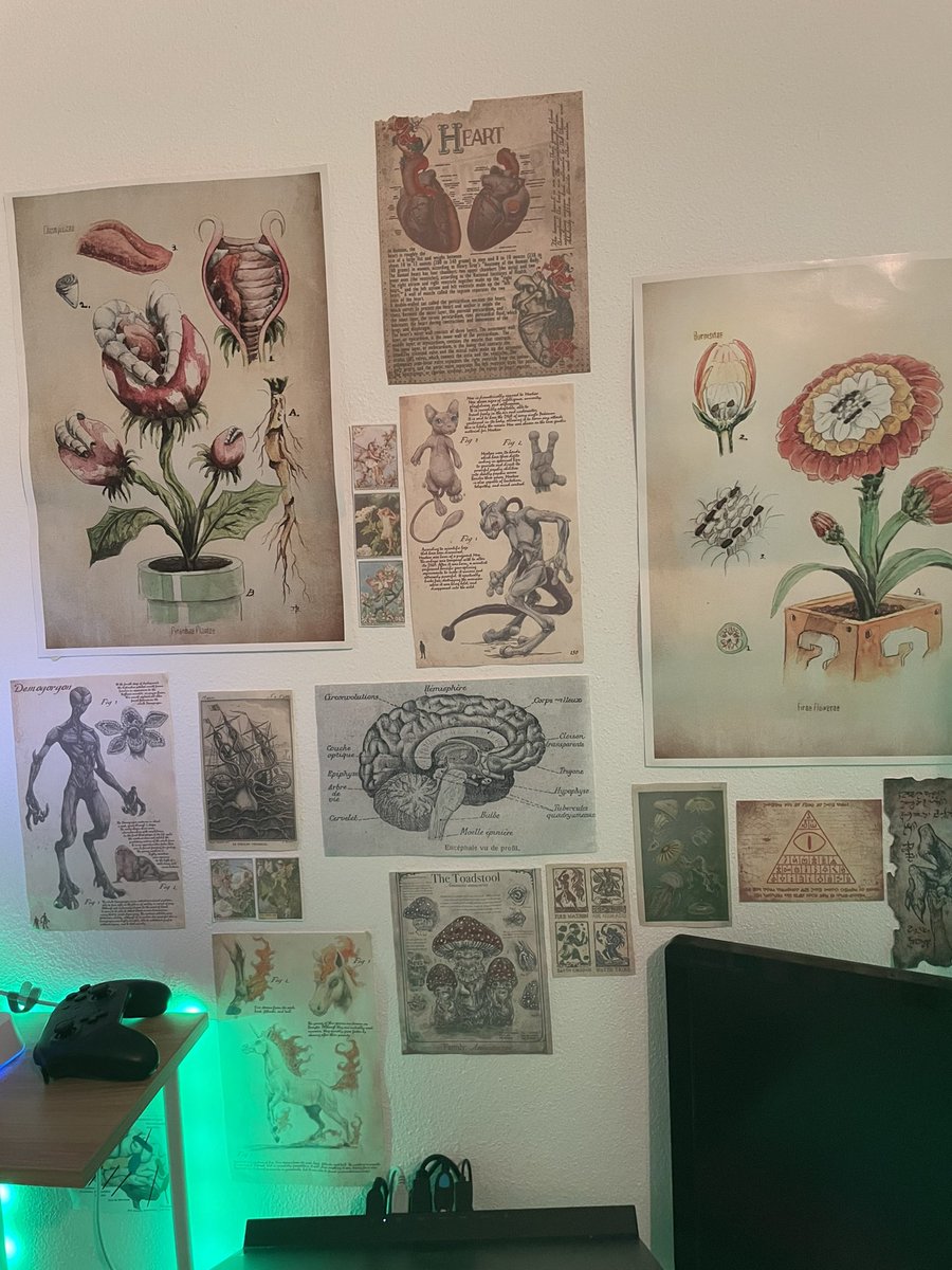 _valediction's tweet photo. Je me suis rendue compte que j’avais grave oublié de le montrer purée https://t.co/rVDWGgLG1F